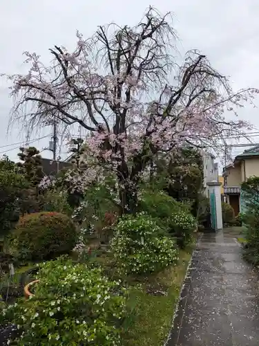 正法寺(東京都)