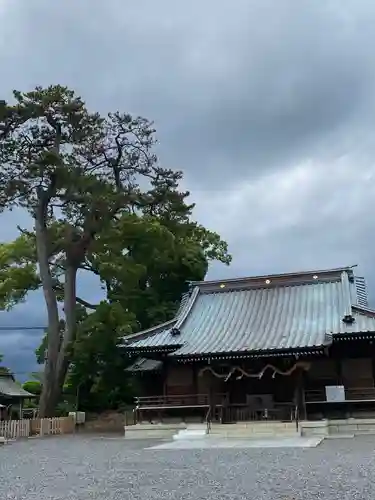 焼津神社の本殿・本堂