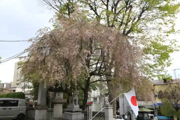 櫻山神社の景色