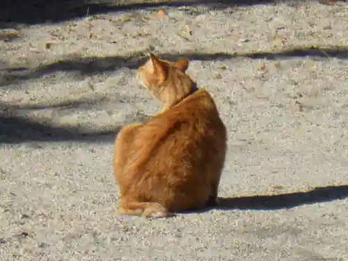 與杼神社の動物