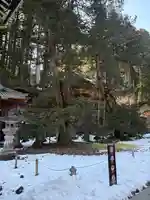 日光山輪王寺 大猷院(栃木県)