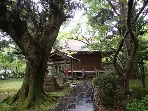 大堰神社の本殿・本堂