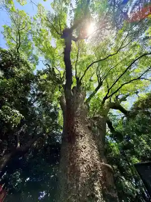 長田神社(兵庫県)