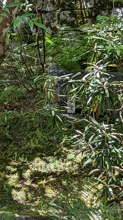 二尊院(京都府)