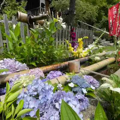 二尊院の手水舎