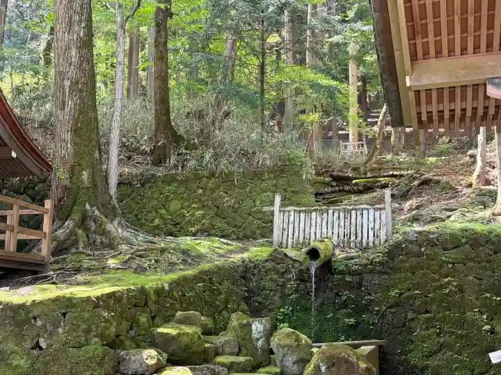 諏訪大社の{uncategorized: "未分類", other: "その他", undefined: "問題あり", building: "その他建物", grave: "お墓", sacred_gate: "鳥居", guardian: "狛犬", statue: "像", buddha: "仏像", history: "歴史", nature: "自然", garden: "庭園", animal: "動物", pagoda: "塔", temizu: "手水舎", mountain_gate: "山門・神門", sanctuary: "本殿・本堂", subordinate: "末社・摂社", art: "芸術", scenery: "景色", jizo: "地蔵", ema: "絵馬", goshuin: "御朱印", omikuji: "おみくじ", items: "授与品その他", amulet: "お守り", goshuincho: "御朱印帳", eats: "食事", festival: "お祭り", votive_dance: "神楽", shichigosan: "七五三参", wedding: "結婚式", experience: "体験その他", initially: "初詣", around: "周辺", anti_infection: "感染症対策"}