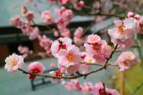 瑞巌寺の建物その他