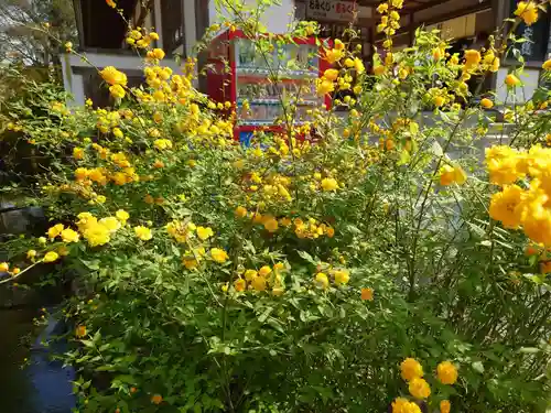 松尾大社の自然