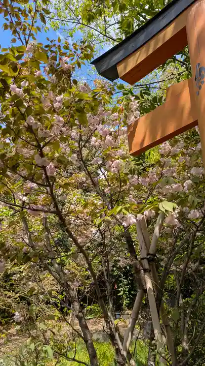 平野神社(京都府)