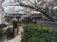 清浄寺(矢場地蔵)の自然