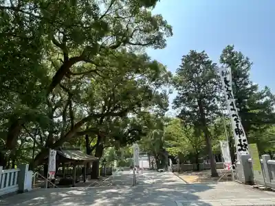 大麻比古神社(徳島県)