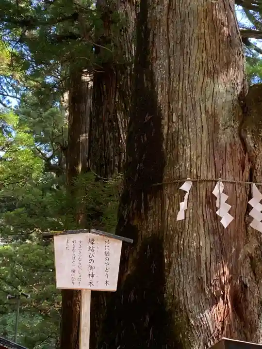 日光二荒山神社(栃木県)