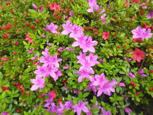 等覚院(神奈川県)