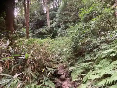 東勝寺跡の自然