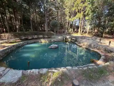 大麻比古神社(徳島県)