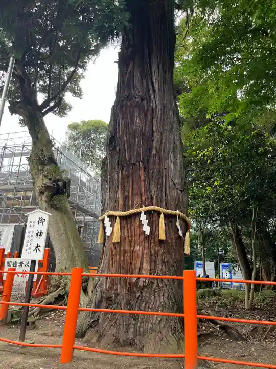 息栖神社(茨城県)