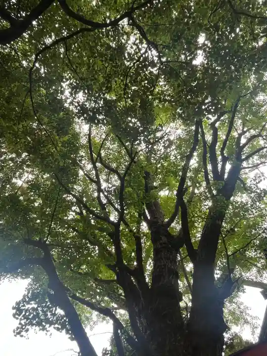 笠䅣稲荷神社(神奈川県)