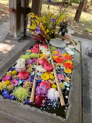 札幌護國神社の手水舎