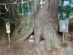 坪沼八幡神社(宮城県)