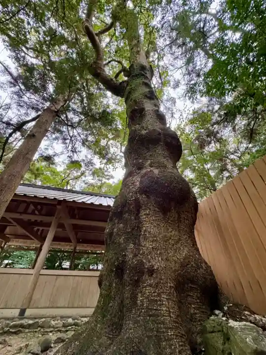 船江上社(三重県)