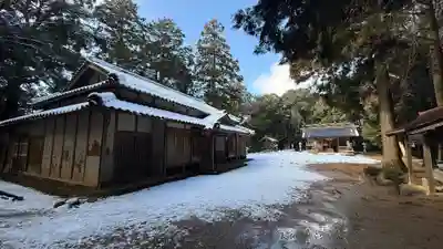 知乃神社(兵庫県)