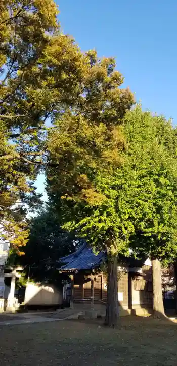 八幡神社の本殿・本堂