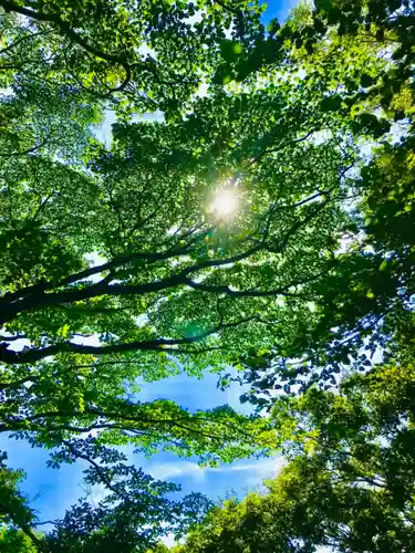 猿田神社の自然