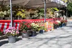 出雲大社相模分祠(神奈川県)