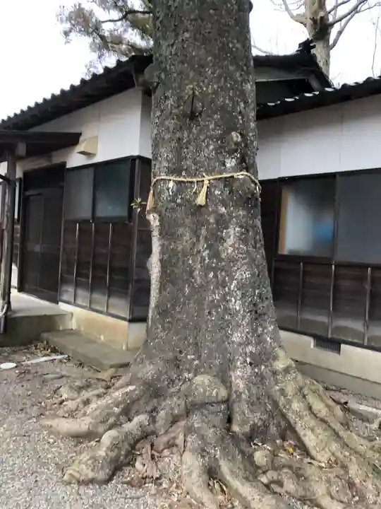 野蛟神社の自然