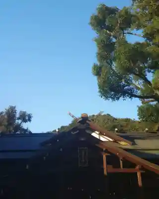 猿田彦神社の本殿・本堂