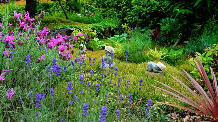 寿量山 速成寺の自然