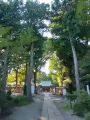 星川杉山神社の建物その他