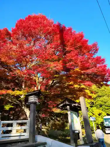 土津神社｜こどもと出世の神さまの自然