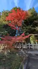 宗忠神社(京都府)