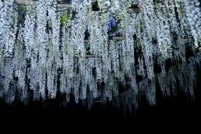 白旗神社(神奈川県)