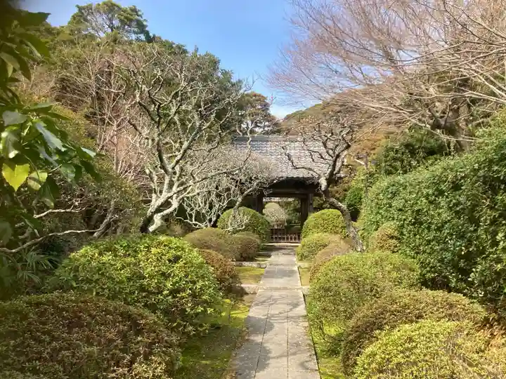 建長寺(神奈川県)