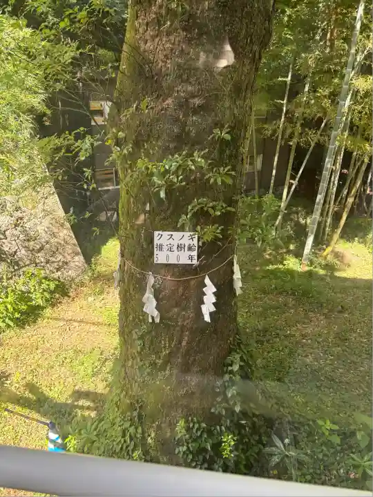 久能山東照宮(静岡県)