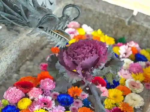 札幌諏訪神社の手水舎