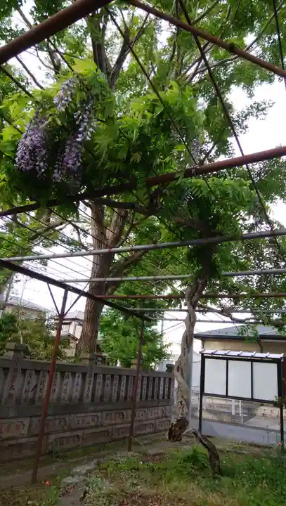 蘇我比咩神社の自然
