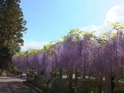 三大神社の自然