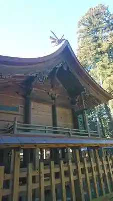 蛟蝄神社奥の宮の本殿・本堂