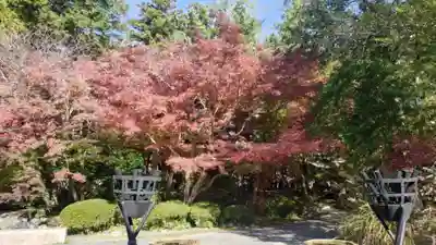 覚園寺(神奈川県)