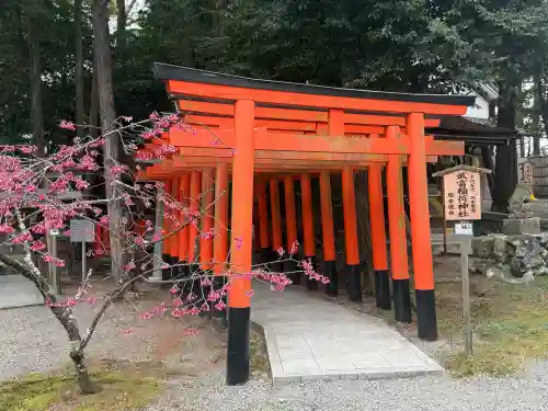 建部大社の{uncategorized: "未分類", other: "その他", undefined: "問題あり", building: "その他建物", grave: "お墓", sacred_gate: "鳥居", guardian: "狛犬", statue: "像", buddha: "仏像", history: "歴史", nature: "自然", garden: "庭園", animal: "動物", pagoda: "塔", temizu: "手水舎", mountain_gate: "山門・神門", sanctuary: "本殿・本堂", subordinate: "末社・摂社", art: "芸術", scenery: "景色", jizo: "地蔵", ema: "絵馬", goshuin: "御朱印", omikuji: "おみくじ", items: "授与品その他", amulet: "お守り", goshuincho: "御朱印帳", eats: "食事", festival: "お祭り", votive_dance: "神楽", shichigosan: "七五三参", wedding: "結婚式", experience: "体験その他", initially: "初詣", around: "周辺", anti_infection: "感染症対策"}