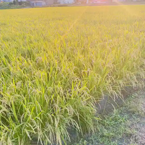 埼玉厄除け開運大師・龍泉寺（切り絵御朱印発祥の寺）の周辺