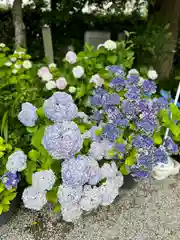 源九郎稲荷神社(奈良県)