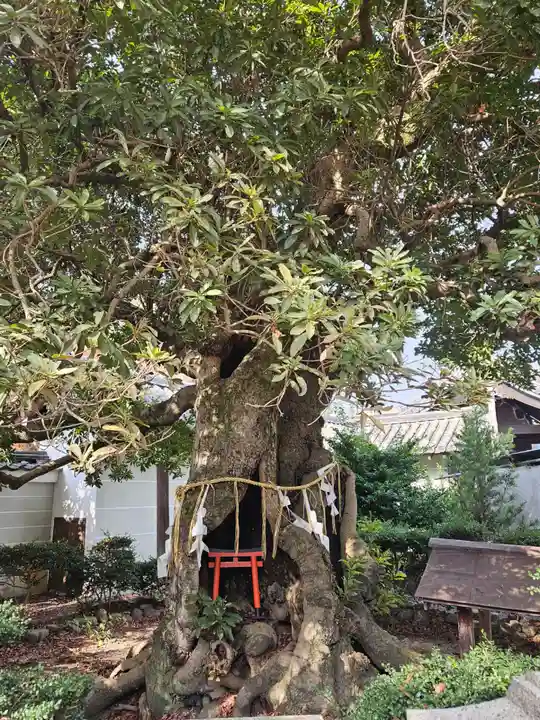 養源院(京都府)
