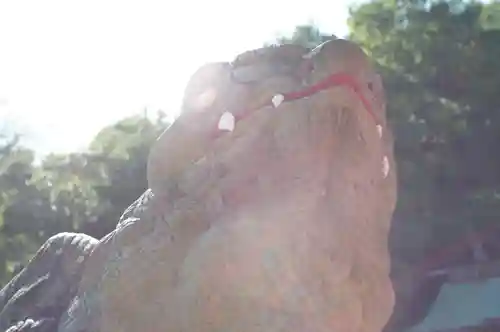 徳島眉山天神社(徳島県)