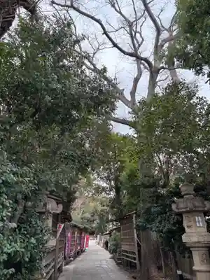 戸越八幡神社(東京都)