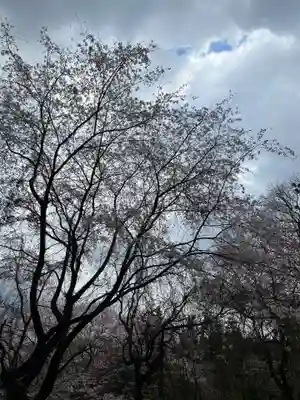 大宮温泉神社(栃木県)