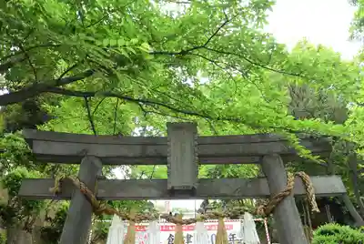 師岡熊野神社(神奈川県)